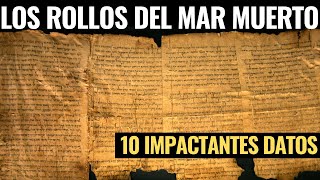 El Mayor Descubrimiento De La Arqueología Moderna  Los Rollos del Mar Muerto [upl. by Nairolf204]