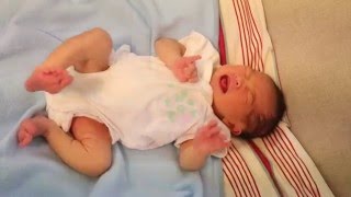 Newborn Baby Kicking and Crying [upl. by Thar439]