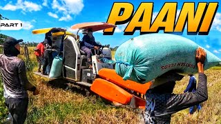 P1  Paani ng Palay ni Senior Harabas  EP1564 [upl. by Nekcerb]