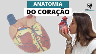 ANATOMIA DO CORAÇÃO MORFOLOGIA CARDÍACA 2 [upl. by Renita]