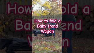 How to Fold Your Baby Trend Wagon Stroller [upl. by Vashtia]