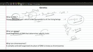 Genetics 🧬 Basic information about DNA Genes amp Chromosomes [upl. by Yvonner]