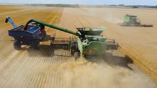 BIG Saskatchewan Wheat Harvest [upl. by Egbert]