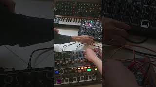 deumbrute impact and minibrute 2s jam drumbrute minibrute dawless [upl. by Esnahc]