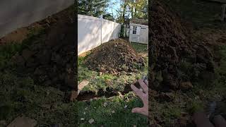 Fixing a wet muddy yard with a Dry Well shorts drainage yarddrain homeimprovement backyard [upl. by Effie282]