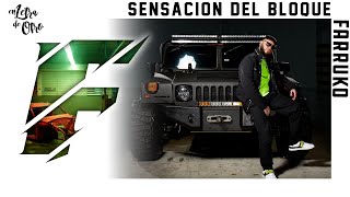 Farruko  Sensación del Bloque Audio [upl. by Irt]