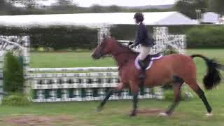 Video of MOROCCO ridden by STELLA PROPP from ShowNet [upl. by Nawj423]