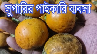 সুপারির পাইকারি ব্যবসা।। পাইকারি সুপারি কিনে ব্যবসা করুন।। [upl. by Tatman203]