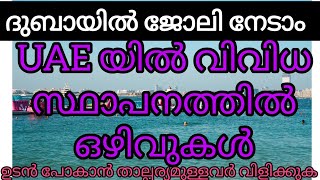 Dubai job vacancy in malayalam gulfjobgulf job vacancy malayalamdubai jobs2024ദുബായ് ജോലിവാർത്ത [upl. by Yrrad989]