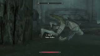 Lets Play Skyrim Episode 46 Calcelmo Has a Spider Problem Skyrim Anniversary Edition skyrim [upl. by Nrehtak]