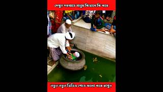 Ghutiari Sharif mazar  Ghutiari Sharif  Mazar Dargah shorts trending ytshorts viral short [upl. by Abdulla]