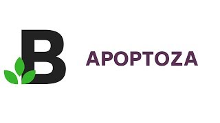 APOPTOZA  co to jest Przebieg apoptozy programowana śmierć komórki  KOREPETYCJE z BIOLOGII  38 [upl. by Fanchie235]