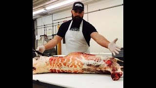 The Best How to Butcher a Deer Video EVER by The Bearded Butchers at Whitefeather Meats [upl. by Monteith]