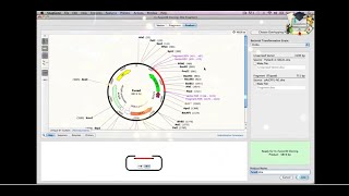 Class8 Simulate InFusion Cloning  SnapGene [upl. by Frederiksen]