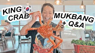 KOREA VLOG  KING CRAB MUKBANG  Korea Travel Tips [upl. by Aehsan98]