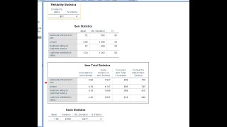 Cronbach Alpha reliability test using SPSS in Amharic [upl. by Tsnre694]