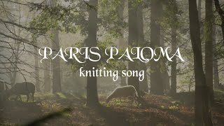 Paris Paloma  knitting song Official Lyric Video [upl. by Esli]