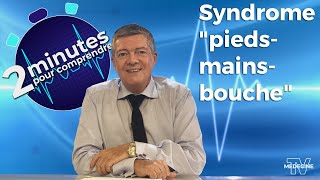 Syndrome quotpiedsmainsbouchequot  2 minutes pour comprendre [upl. by Lohrman]