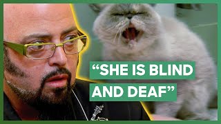 Jackson Galaxy Helps A Blind Deaf And Aggressive Cat  My Cat From Hell [upl. by Atile880]