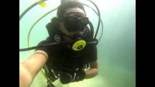 BUCEO EN LOS AHUEHUETES [upl. by Farly]