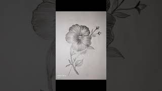 flower shading and drawing with pencil ✏️ [upl. by Pratt]