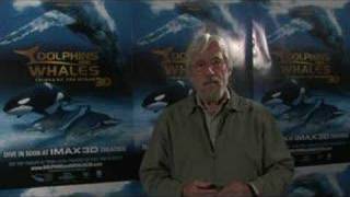 JeanMichel Cousteau presents DOLPHINS AND WHALES 3D Interv [upl. by Hopper712]