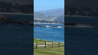 Pebble Beach  USA  California  Beautiful View  Monterey Peninsula [upl. by Calvinna]