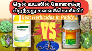 நெல் வயலில் சிறந்த களைக்கொல்லி எது  Best herbicides in paddy crop  edges  Broad leafs [upl. by Werra]