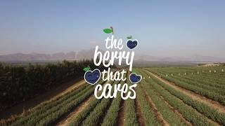 CAMPOSOL  The Berry That Cares [upl. by Brenn]