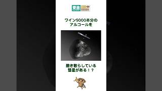 ワイン5000本分のアルコールを撒き散らしている彗星がある！？ shorts 雑学 彗星 [upl. by Addam59]