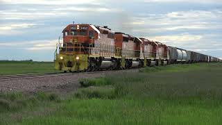 Railfanning the BNSF Aberdeen Sub and the RCPE May 31June 1 2024 [upl. by Ailet]