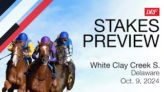 White Clay Creek Stakes Preview  October 9 2024 [upl. by Yrak]