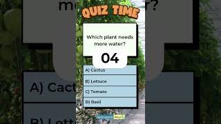 Which Plant Needs More Water hydroponicway hydroponics shorts quiz quiztime cactus tomato [upl. by Sadnak557]