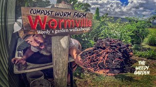 From Scraps to Soil Gold Unlocking the Secrets of a Compost Worm Farm  Worm Farming For Compost [upl. by Haslett]