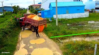 Nice Start New Project  Dozer KOMATSU Push Soil Into Water In Flooded Local Area amp Truck 5tons [upl. by Ecnaret709]