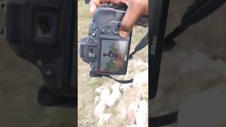 nikon d3500 vs 1855mm lens photoshoot 📸 shorts ytshorts youtubeshorts photography trending [upl. by Notreb929]