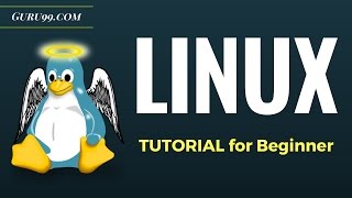 Linux Tutorial for Beginners Introduction to Linux Operating System [upl. by Tara]