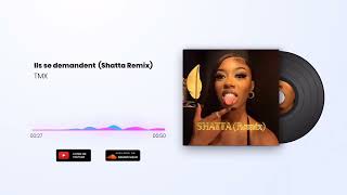 Denden  Ils se demandent Shatta Remix Ft TMX [upl. by Elise]