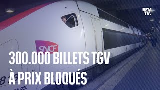 SNCF 300000 billets TGV à 29 39 ou 49 euros pour le mois daoût [upl. by Ellissa158]