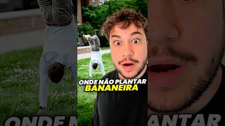 pode plantar bananeira livedobrino humor MundinhoBrino [upl. by Erreip48]