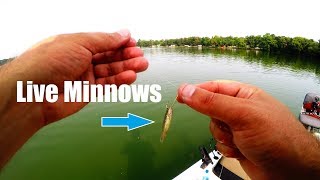 Crappie Fishing with LIVE Minnows Day 24 of 30 day challenge [upl. by Longan]