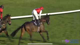 Achille Des Rocs wins at Southwell [upl. by Doti]