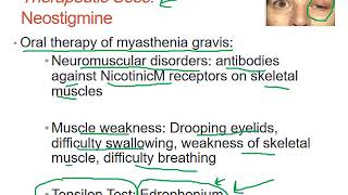 Pharmacology ANS Drugs Cholinesterase Inhibitors Lecture 3 Dr Saja Hamed [upl. by Namielus]