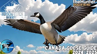 Hirschfelden Canada Goose Guide  TheHunter Call Of The Wild 2425 [upl. by Catherine]