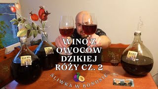 Wino z owoców dzikiej róży cz 2  śliwka w bonusie [upl. by Yrekcaz338]