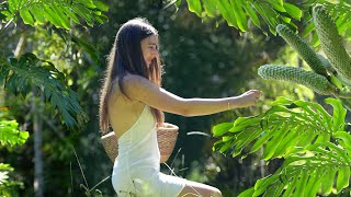 Harvesting Rare Fruits A Tour of Our 60 Year Old Food Forest [upl. by Waechter]