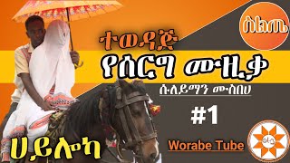 Ethiopia ሀይሎካ  ተወዳጅ የሰርግ ሙዚቃ  ሱለይማን ሙስበሀ ስልጥኛ Suleyman Best Siltie Wedding Music [upl. by Rehpoitsirhc]