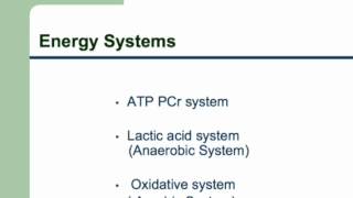 Exercise Physiology Lecture Part 1 [upl. by Nnazus]