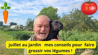 Juillet au jardin Que fait Philippe le jardinier moyen [upl. by Rosane]