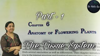 Anatomy of flowering plants  Part 1  Class 11 Biology  NCERT NEET [upl. by Haela656]